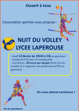 nuit du volley.PNG